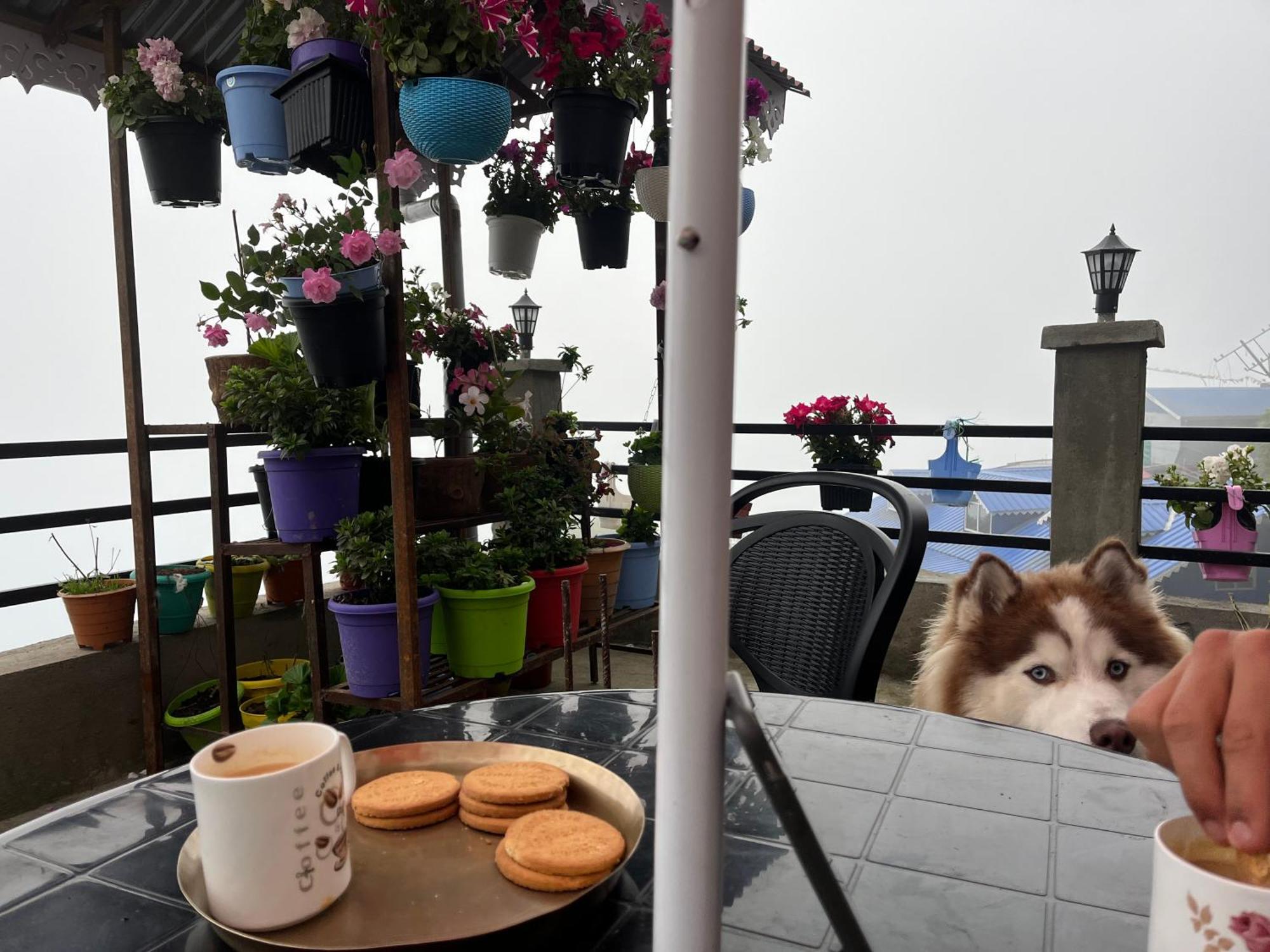 Shalom Inn Home Stay Darjeeling  Exterior photo